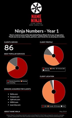 Name Ninja Infographic - Year 1 Numbers