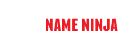 Name Ninja > Domain Name Acquisition